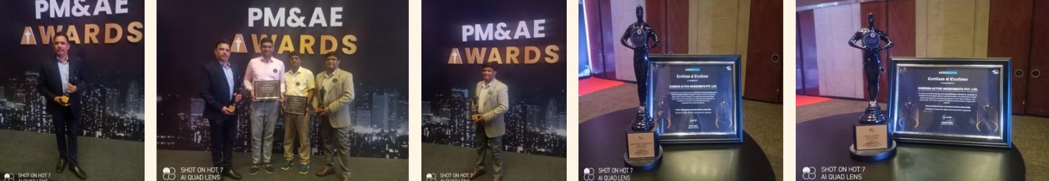 PM&AE Awards Stage Ceremony and Trophies